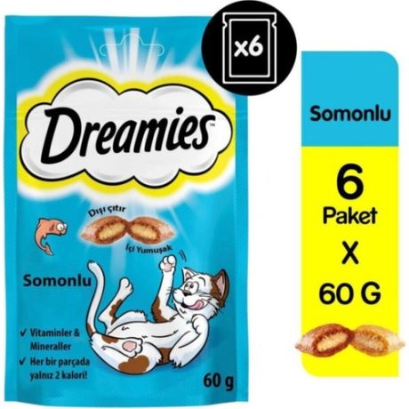 DREAMİES SOMONLU KEDİ ÖDÜLÜ 60 GR x 6