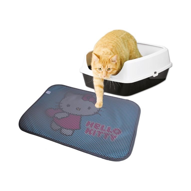 hello-kitty-cift-katmanli-kedi-kumu-paspasi-dikdortgen-02-1144.jpg