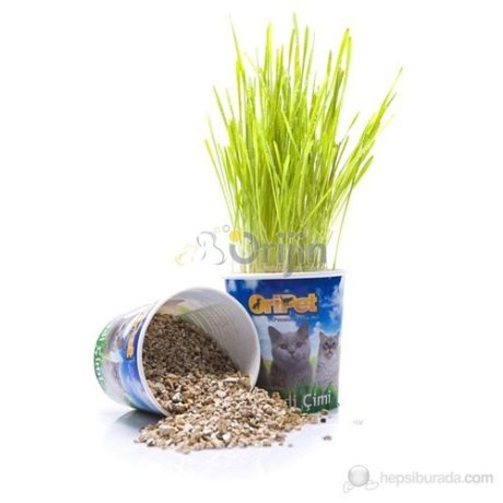 ORIPET KEDİ ÇİMİ
