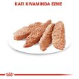 royal-canin-dermacomfort-kopek-85-gr-2125.jpg