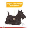 royal-canin-dermacomfort-kopek-85-gr-2126.jpg