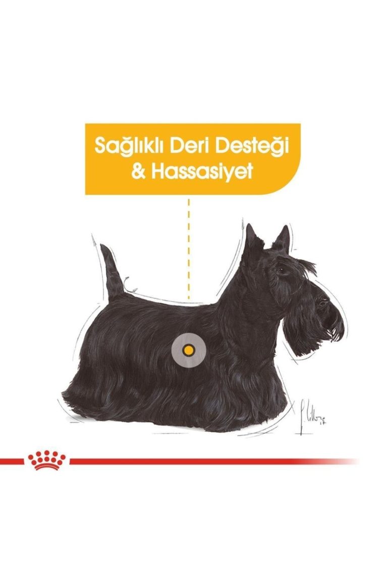 royal-canin-dermacomfort-kopek-85-gr-2126.jpg