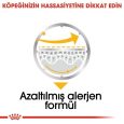 royal-canin-dermacomfort-kopek-85-gr-2127.jpg