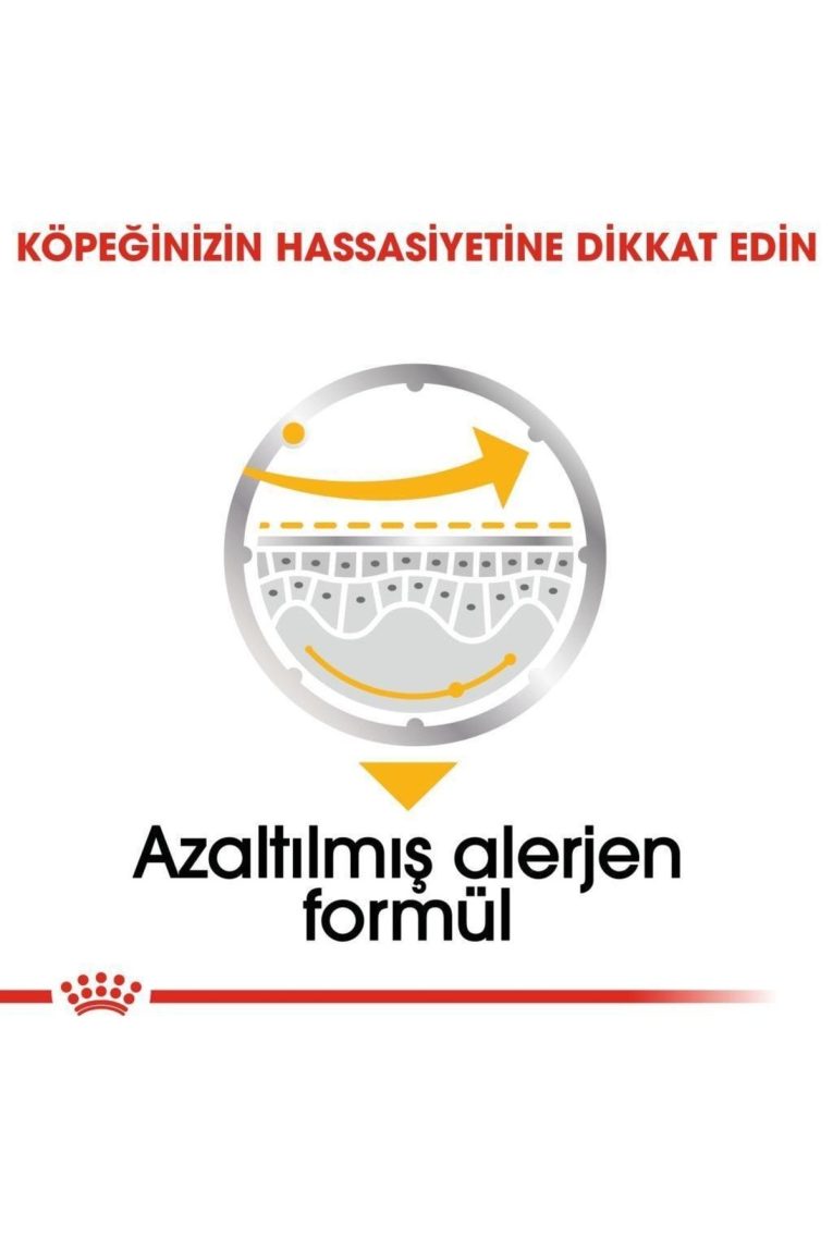 royal-canin-dermacomfort-kopek-85-gr-2127.jpg